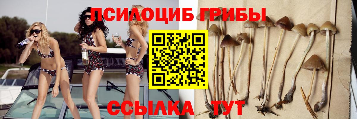 Шуя  Галлюциногенные грибы MAGIC MUSHROOMS  Псилоцибиновые грибы Cubensis  Вход с VPN 