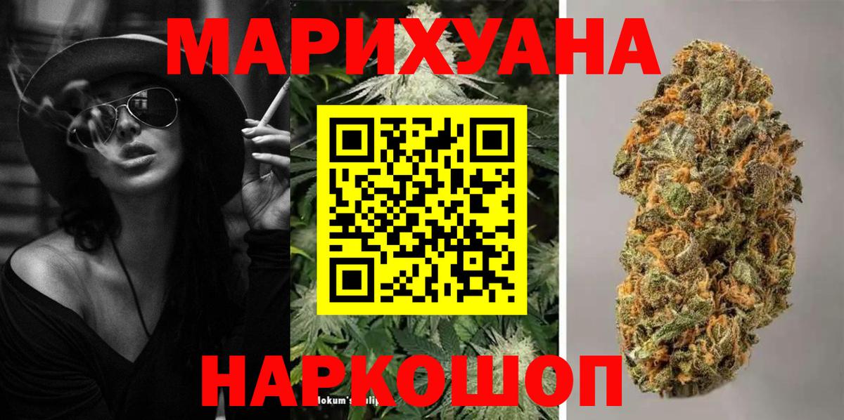 Конопля сатива Шуя